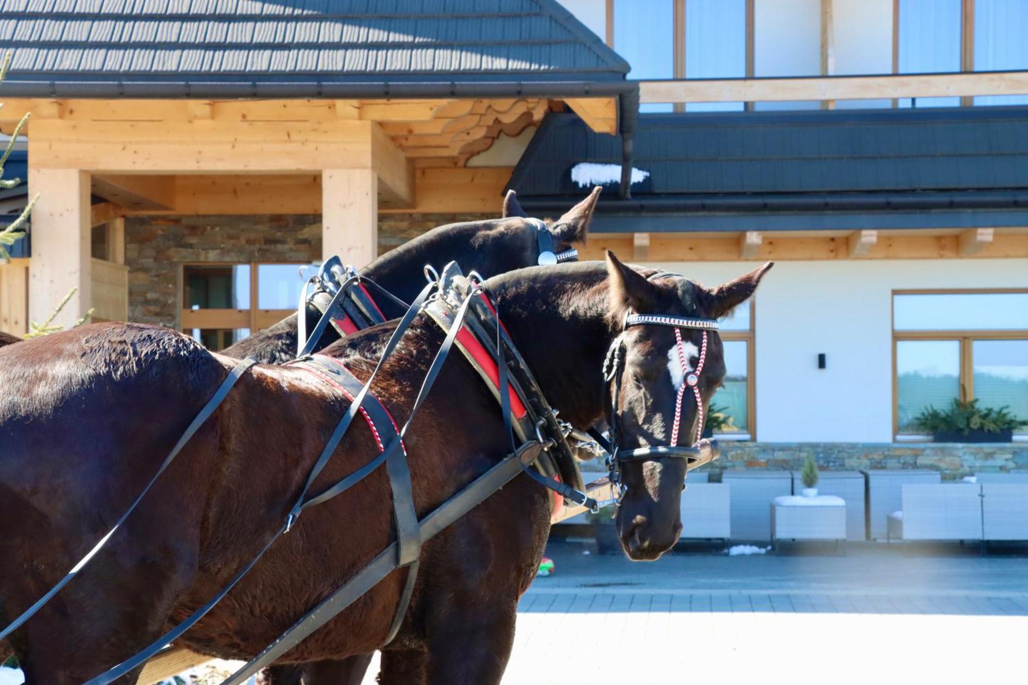Aparthotel Askana Bialka Tatrzanska Exteriör bild